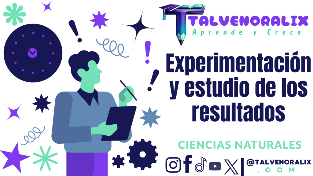 Experimentación y estudio de los resultados