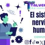 El sistema nervioso humano